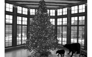 Christmas Memories by June Kent