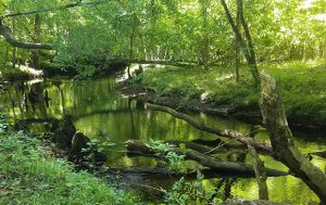 Island Creek Trail